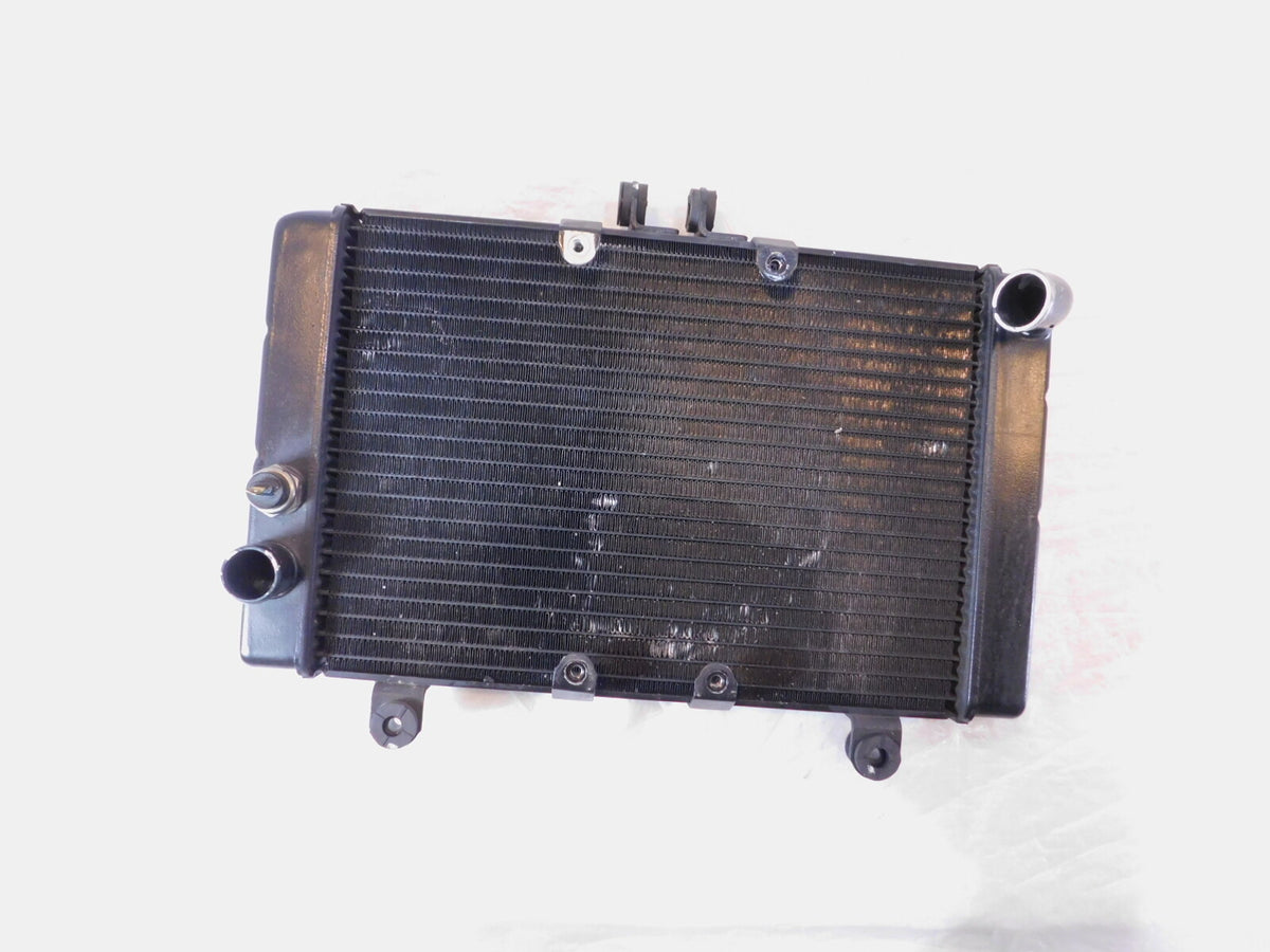 1994-1995 Honda CB1000 CB 1000 Front Engine Motor Water Cooling Coolant Radiator - C3 Cycle
