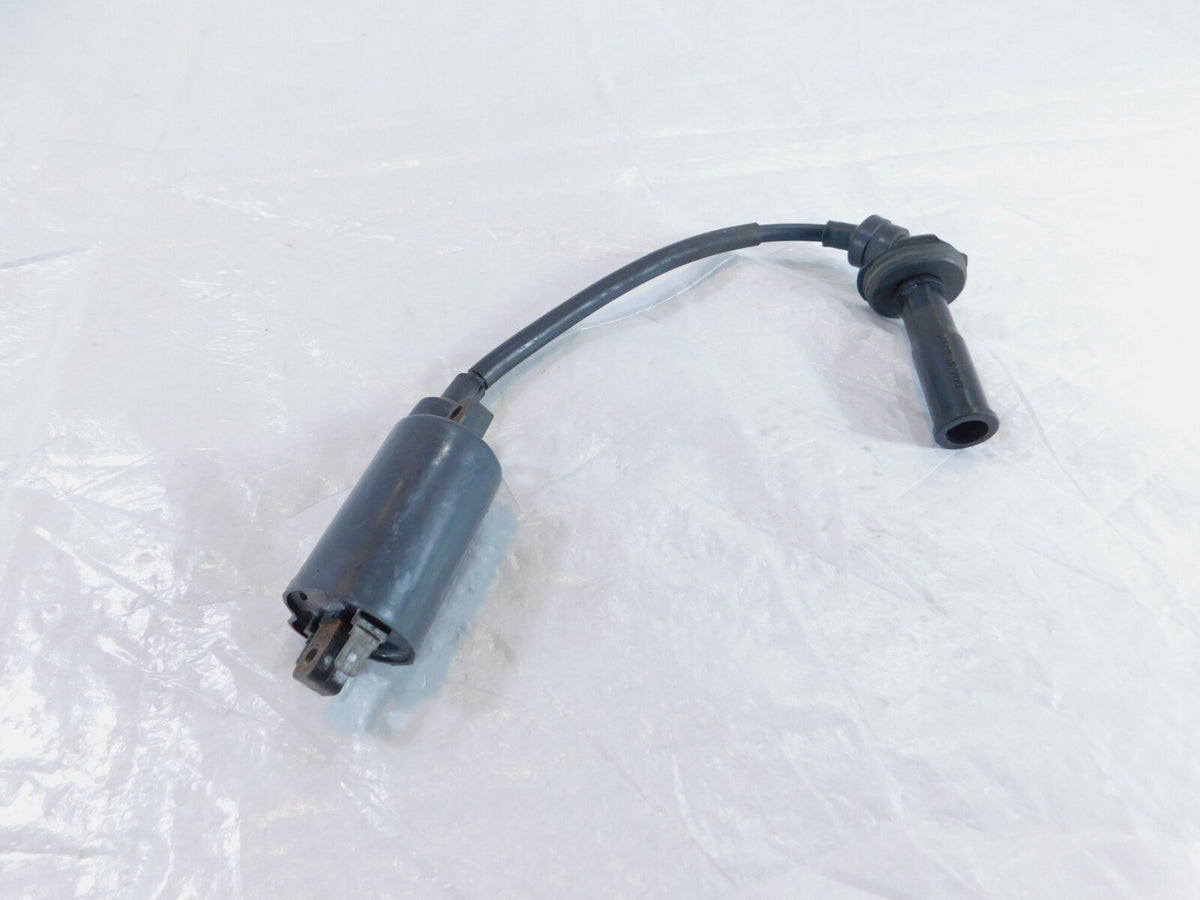 2002 MZ Skorpion Tour MZ660 660cc Engine Motor Ignition Coil w/ Spark Plug Cap