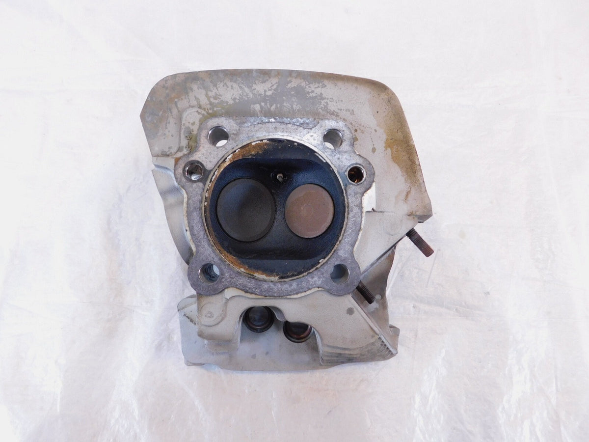 Harley Davidson Touring Softail & Dyna Silver Cylinder Head & Valves w/ Springs - C3 Cycle