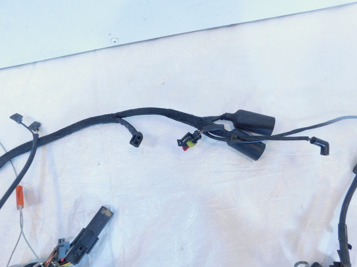 Harley Davidson Sportster 883 & 1200 Main Wiring Wire Harness Assembly 69200317