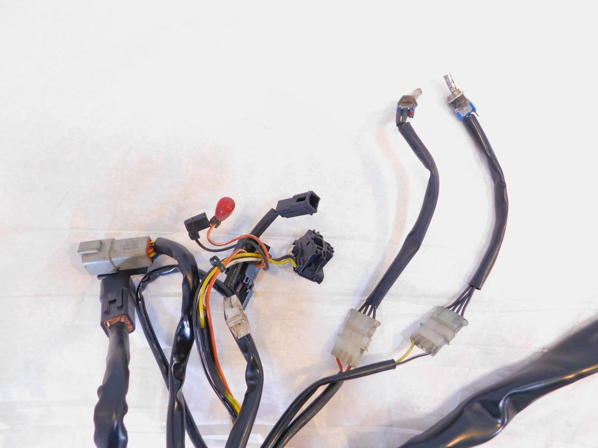 2001 Harley Davidson Touring Road King FLHR FLHRCI Main Wiring Harness Wire Loom - C3 Cycle