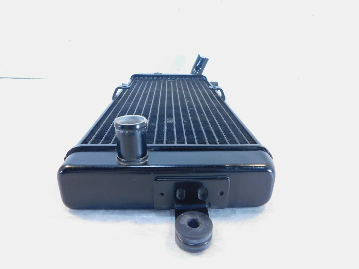 Highway Hawk Radiateur Cover 2009 Honda VT 750 C Shadow - NR1 Motor Highway Hawk Radiateur Cover 2009 Honda VT 750 C Shadow - NR1 Motor
