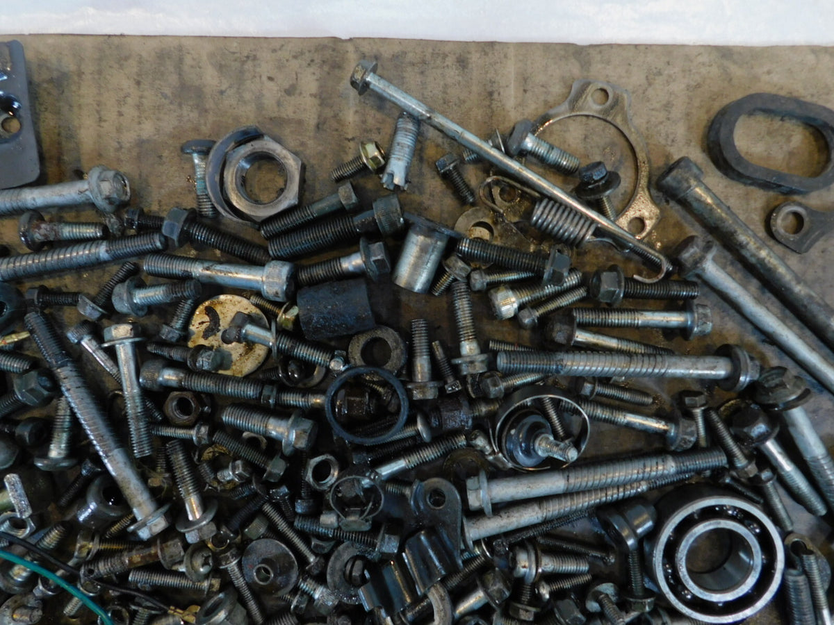 1994 & 1995 Yamaha FZR1000 Nuts Bolts & Brackets Parts Box Lot - C3 Cycle