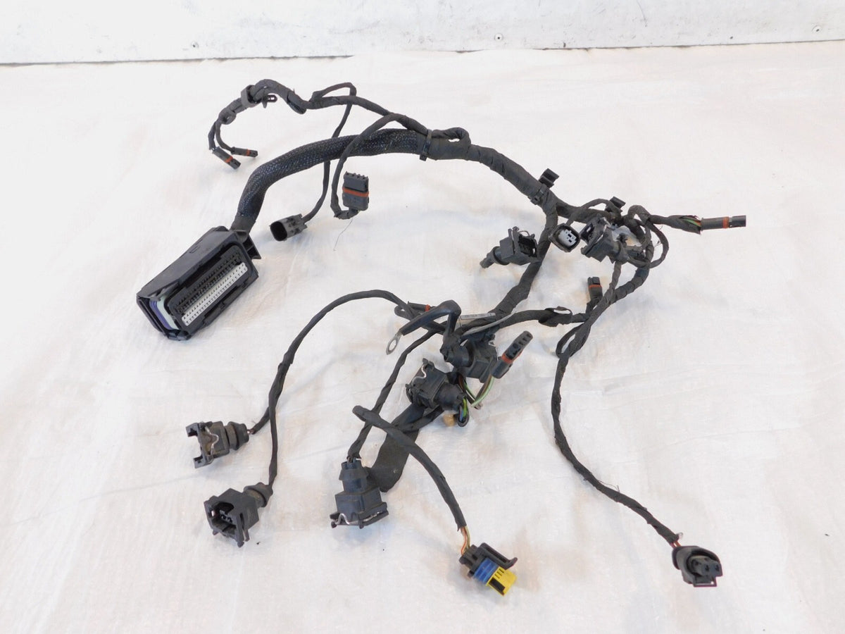 BMW F800 F800R F800S F800ST Engine Motor Throttle Body Injector Wire Harness - C3 Cycle