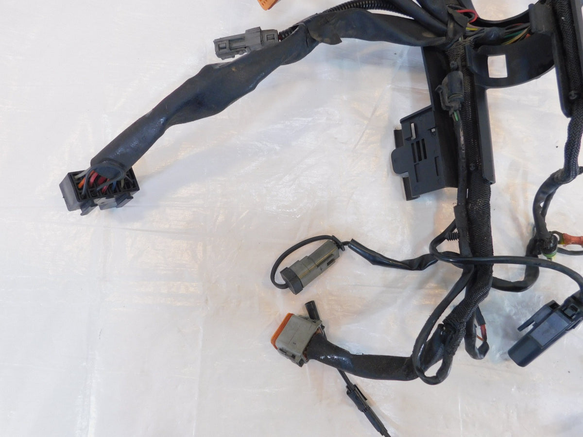 2006 06 Harley Davidson Sportster 883 & 1200 Main Wire Wiring Harness - no Key - C3 Cycle