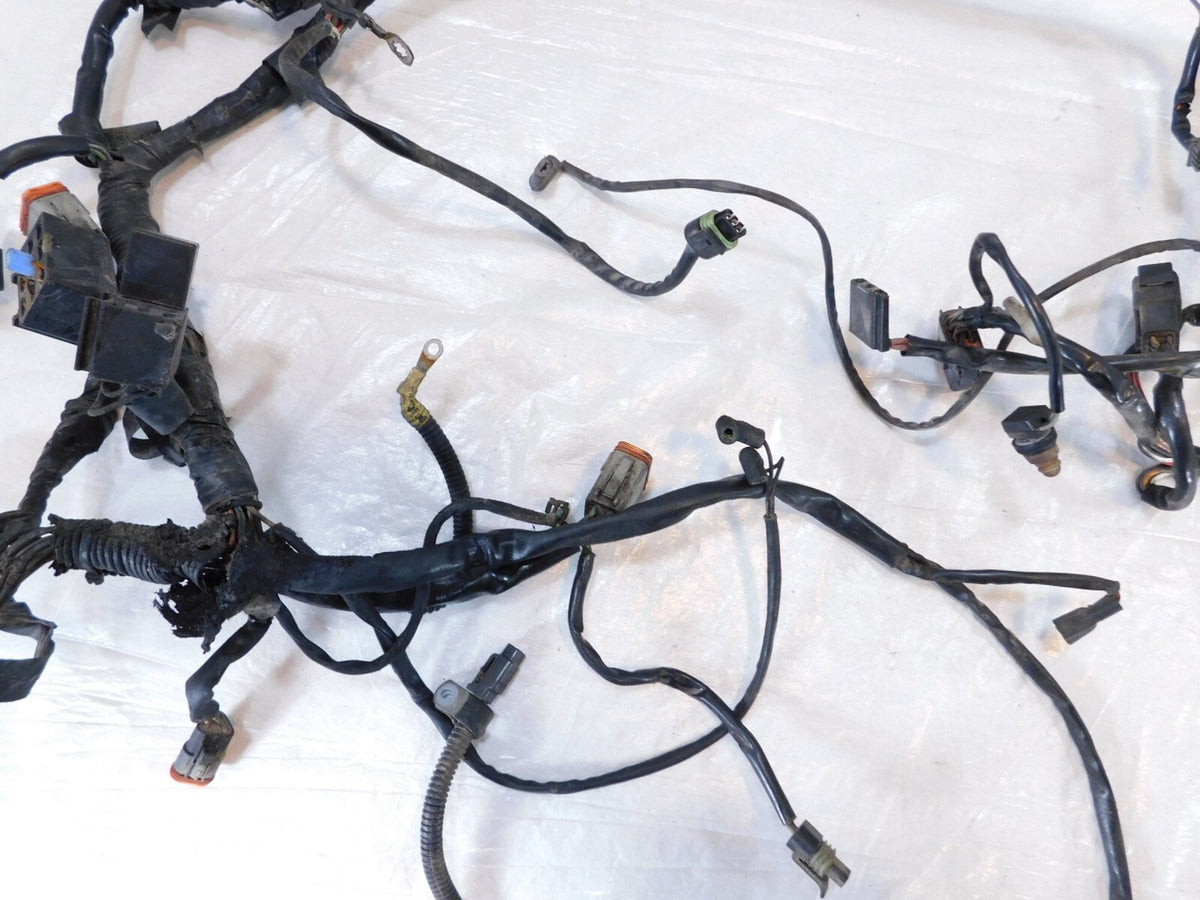 2001 & 2002 Harley Davidson Softail Fat Boy & Deuce Main Wiring Wire Harness - C3 Cycle