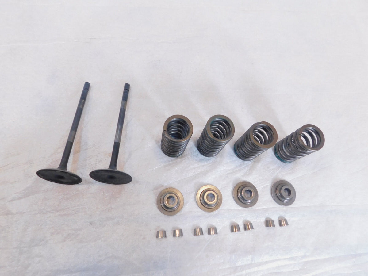 2020-2022 Indian Challenger Limited Dark Horse Intake & Exhaust Valves & Springs - C3 Cycle