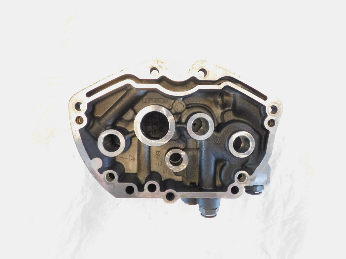 Buell XB9 XB12 Firebolt Lighting Thunderstorm Oil Pump Right Engine Motor Cover - C3 Cycle