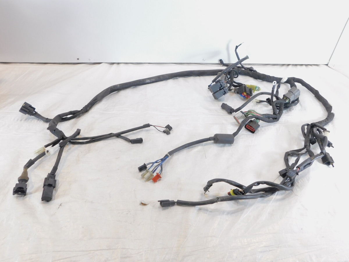 2015 & 2016 Harley Davidson Street 500 & 750 Main Wiring Wire Harness Loom - C3 Cycle