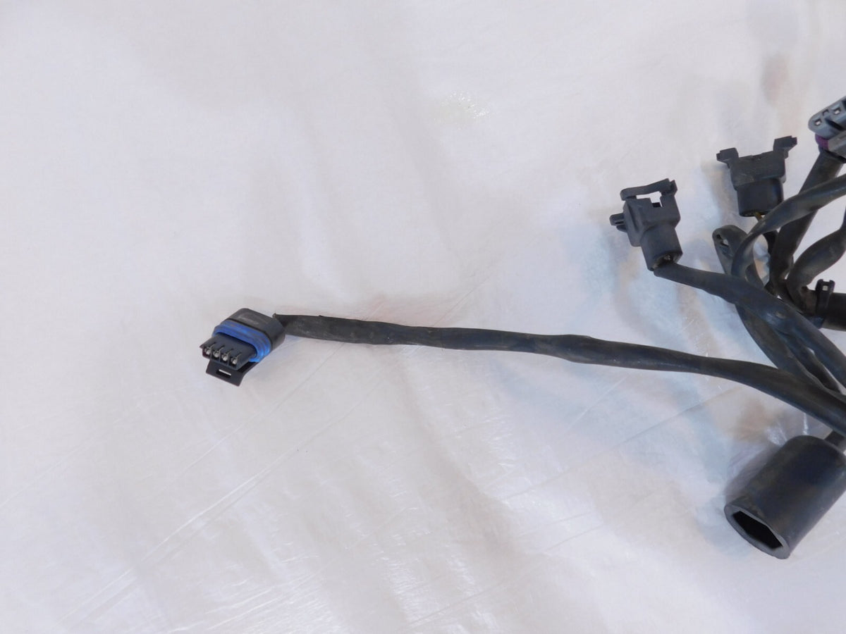 2004 2005 Harley Davidson Road King & Electra Glide EFI ECM Wire Wiring Harness - C3 Cycle