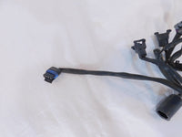 2004 2005 Harley Davidson Road King & Electra Glide EFI ECM Wire Wiring Harness - C3 Cycle