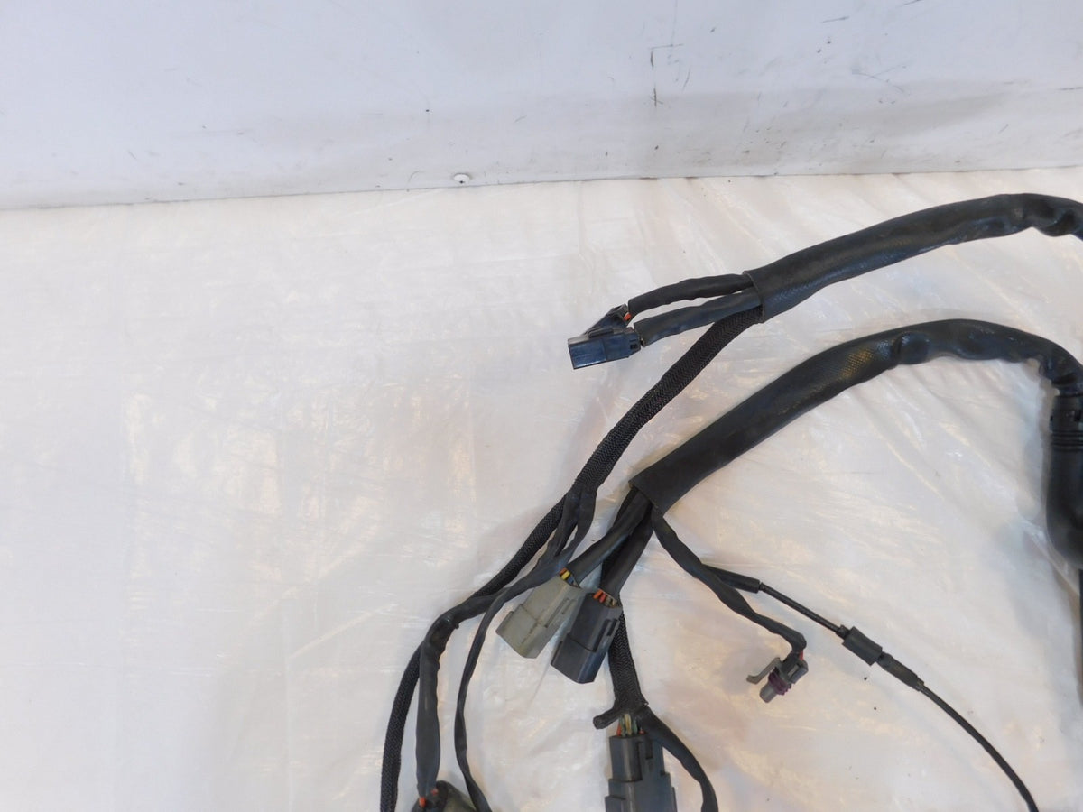 2006 06 Harley Davidson Sportster 883 & 1200 Main Wire Wiring Harness - no Key - C3 Cycle