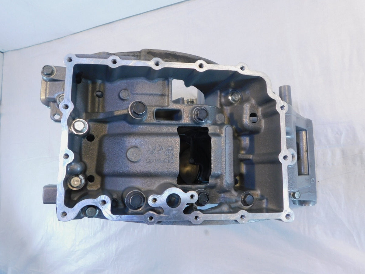 2003 Harley Davidson V-Rod VRod VRSCA Silver 100th Anniversary Crankcase - C3 Cycle