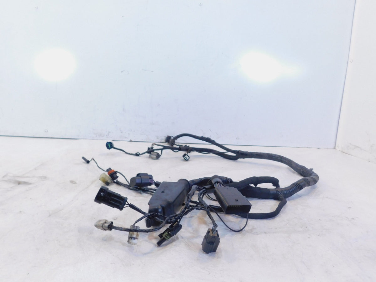 Polaris Victory Hammer Boardwalk Jackpot Kingpin Electrical Wire Wiring Harness - C3 Cycle