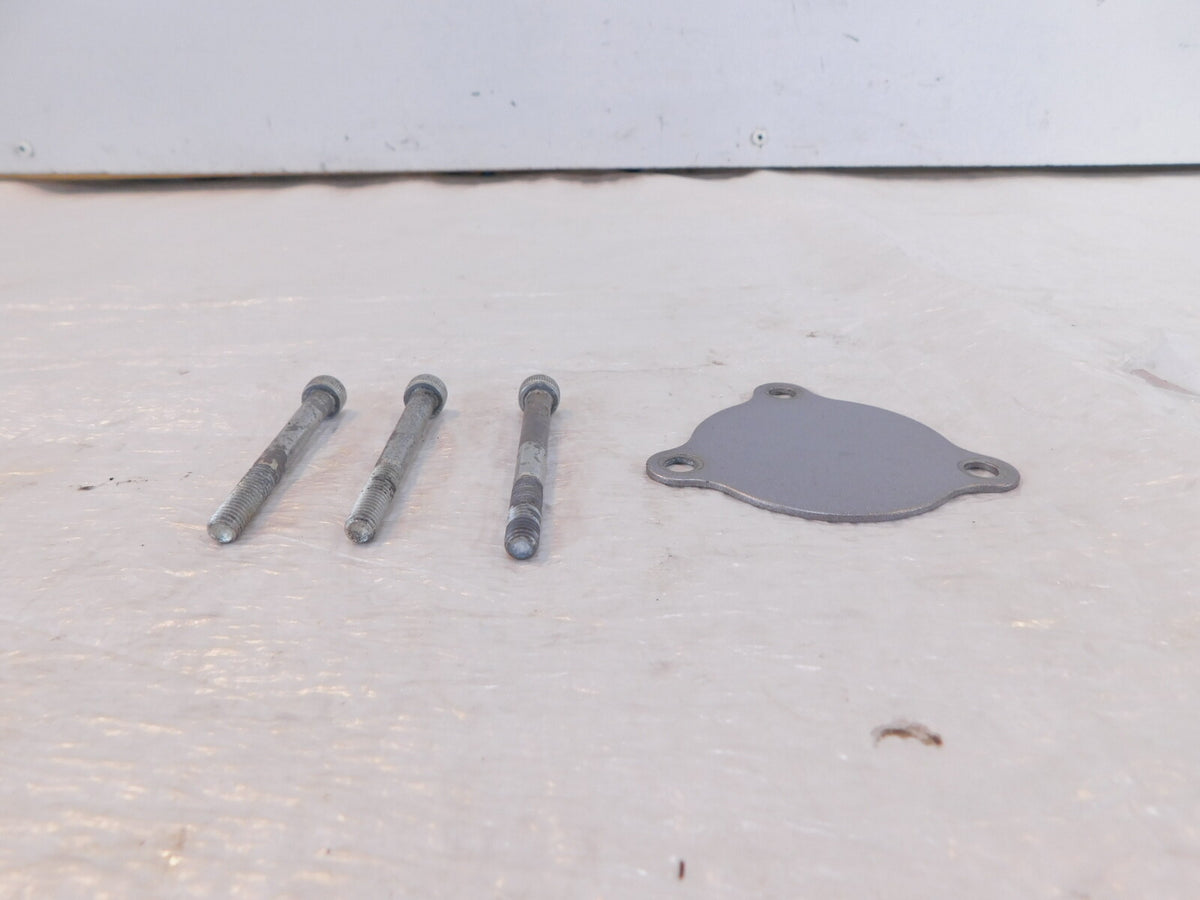 1991-1993 Honda Nighthawk 750 CB750 Silver Engine Left Side Cover Plate & Screws - C3 Cycle
