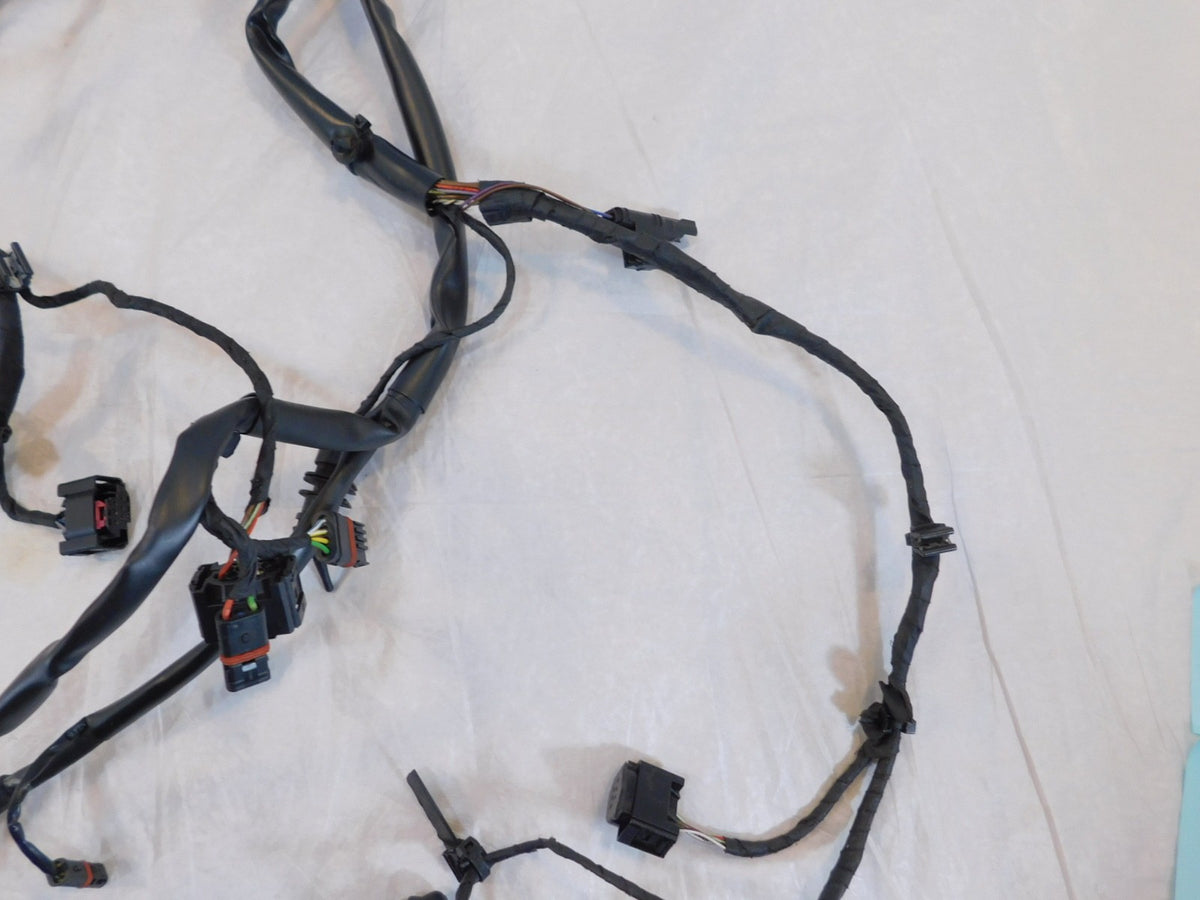 2012-2016 BMW F800 F800GT Main Wire Wiring Harness Loom - C3 Cycle
