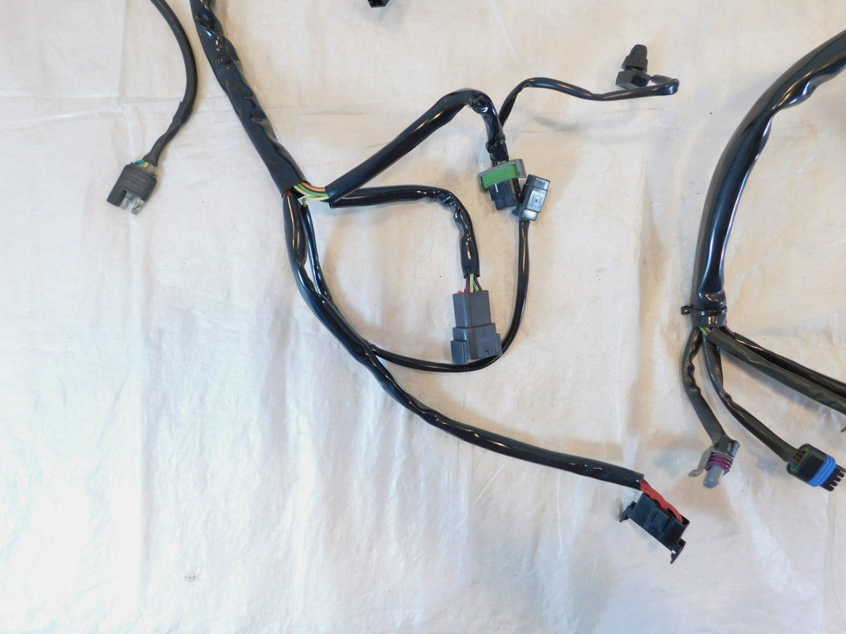 Harley Davidson Softail Heritage Classic & Fat Boy EFI Main Wire Wiring Harness - C3 Cycle
