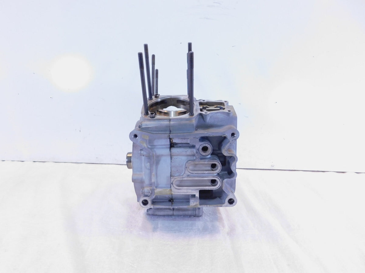 Harley Davidson Road King Electra Glide & Dyna Silver Engine Motor Crank Cases - C3 Cycle