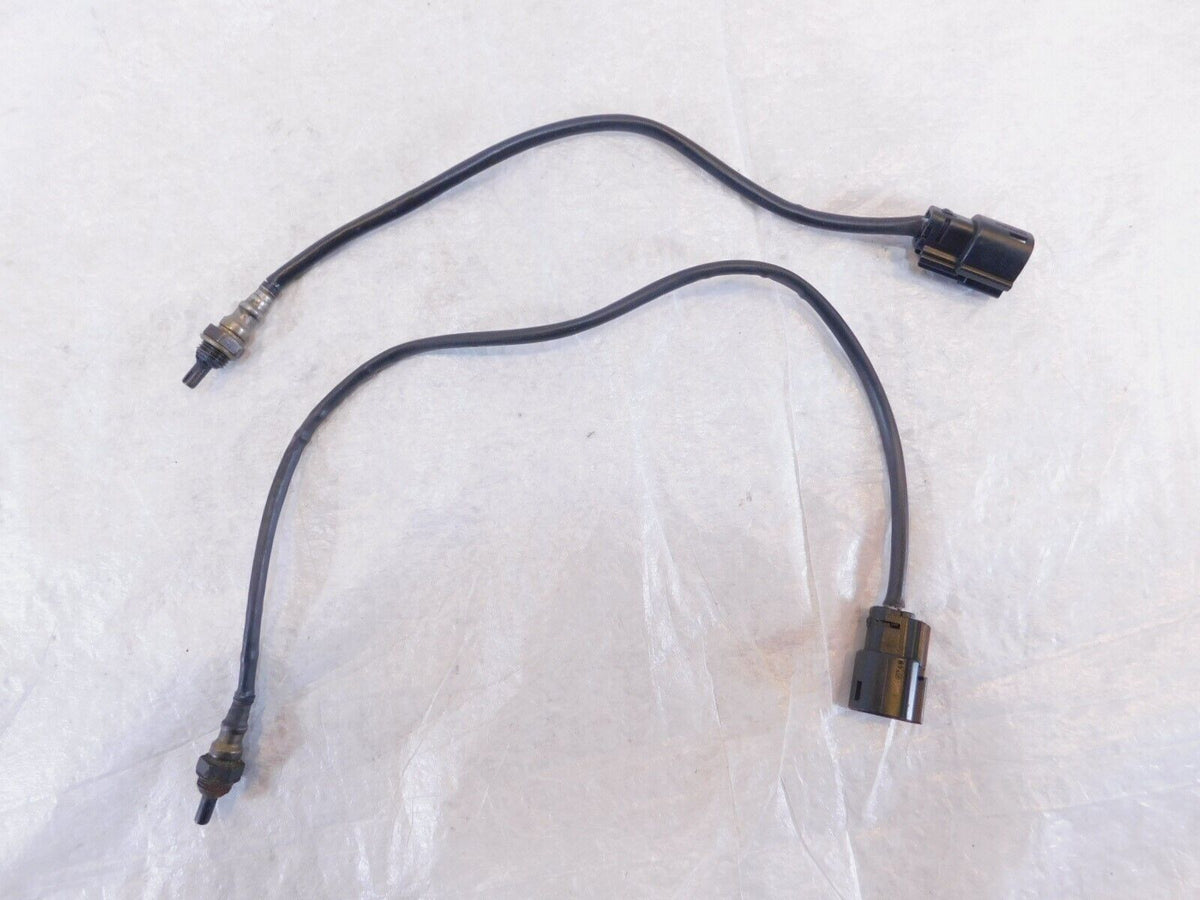 14-18 Harley Davidson Sportster XL883 & XL1200 Exhaust Pipe O2 Oxygen Sensors - C3 Cycle