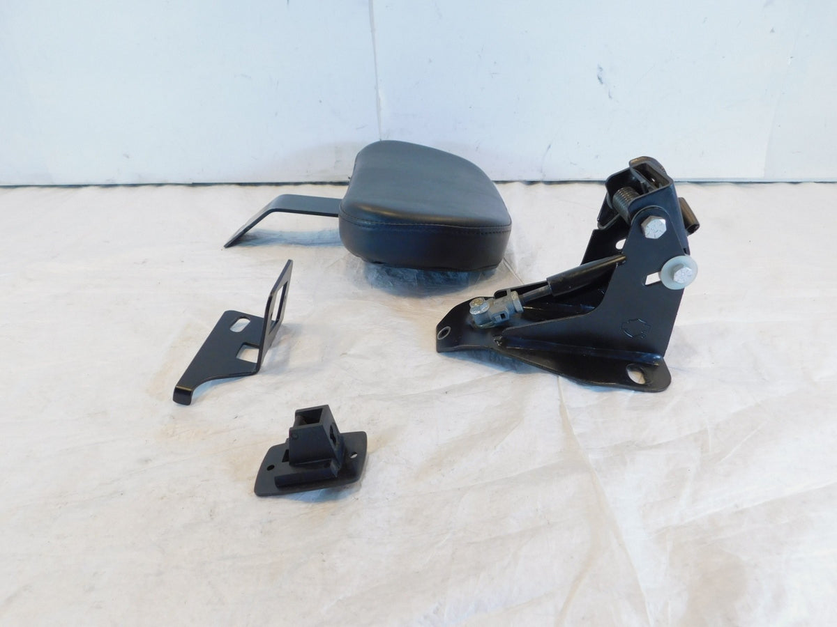 Harley Davidson Road King Electra Glide Rider Front Seat Backrest & Brackets - C3 Cycle