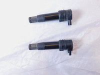 BMW R1100S & R1150GS R1150R R1150RT & R1200GS R1200RT R1200S HP2 Ignition Coils - C3 Cycle
