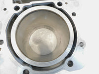 Aprilia RSV1000 RSV1000R RSVR & RSV 1000 Tuono Engine Motor Cylinders & Pistons
