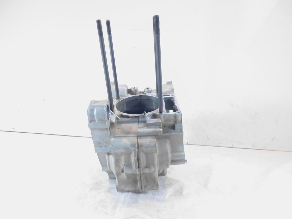 BMW F650 F650GS Dakar & Scarver Silver Engine Motor Block Housing Crankcase Case - C3 Cycle