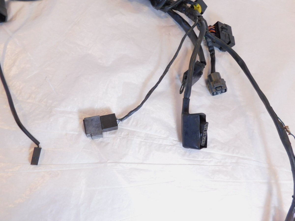 2007 2008 2009 2010 2011 2012 Triumph Tiger 1050 Main Wire Harness Wiring Loom - C3 Cycle