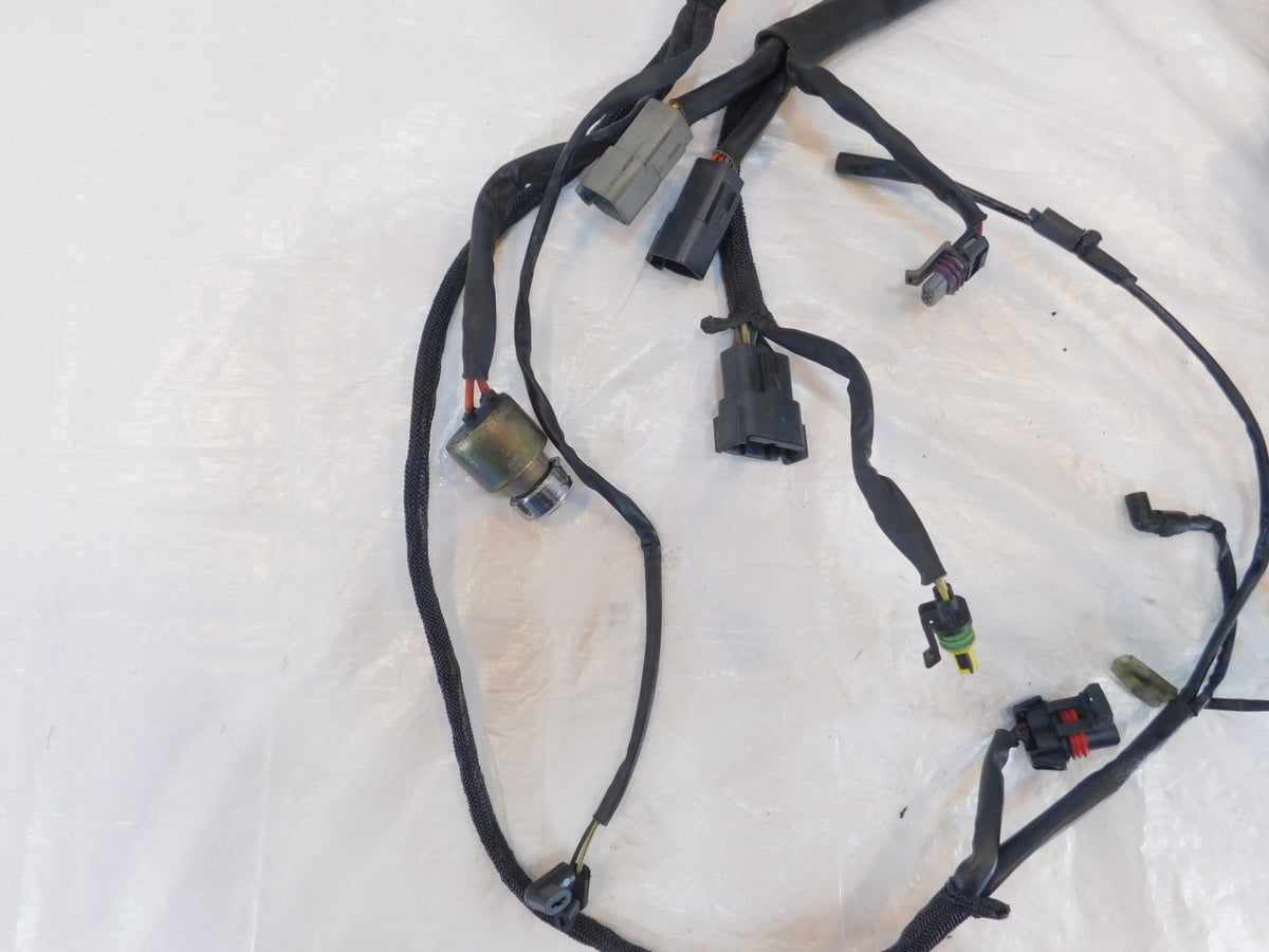 2006 06 Harley Davidson Sportster 883 & 1200 Main Wire Wiring Harness - no Key - C3 Cycle