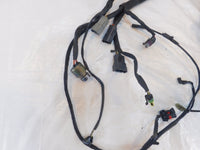 2006 06 Harley Davidson Sportster 883 & 1200 Main Wire Wiring Harness - no Key - C3 Cycle