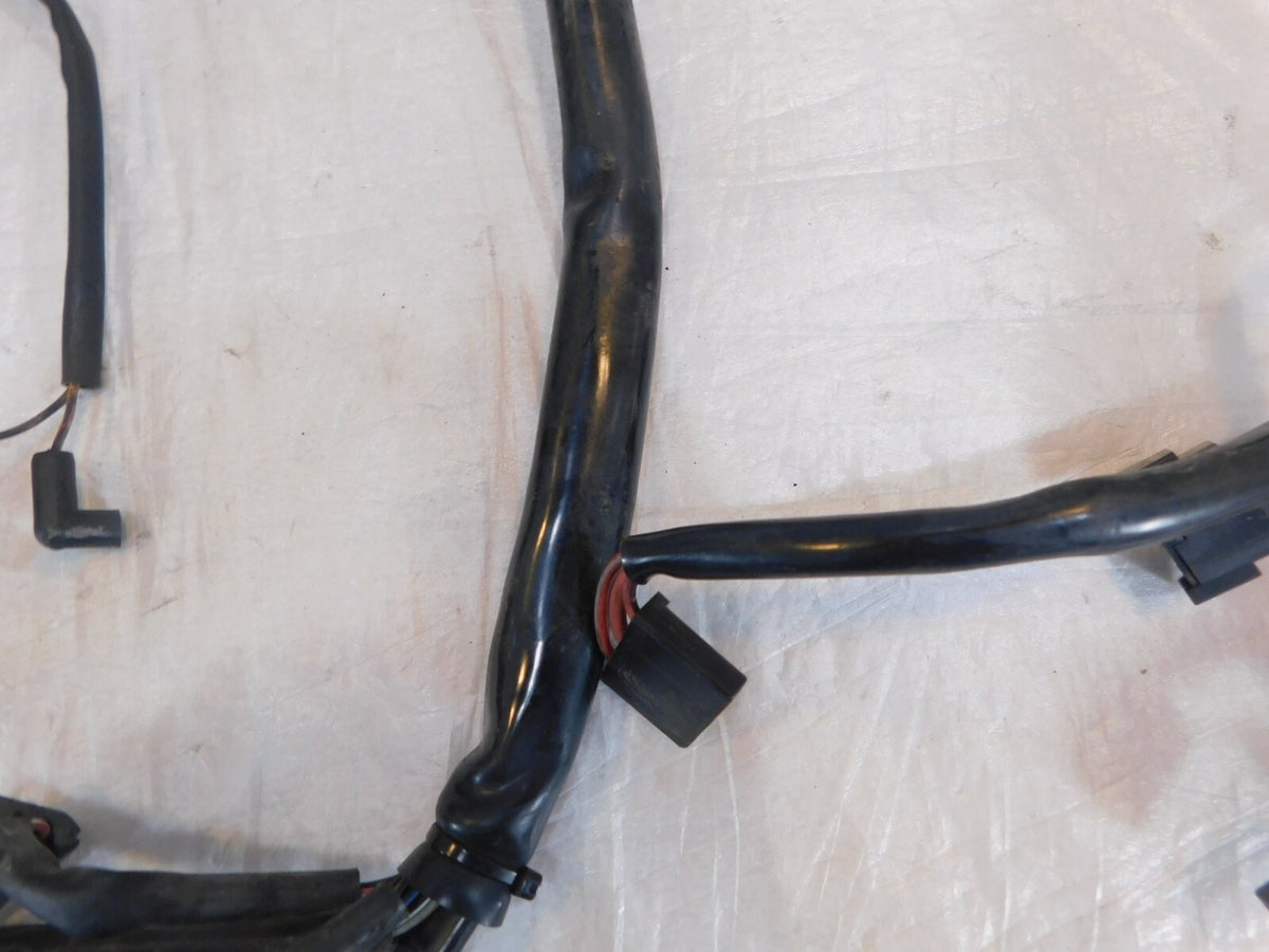 01-02 Harley Davidson Softail Heritage Classic & Fat Boy EFI Wire Wiring Harness - C3 Cycle