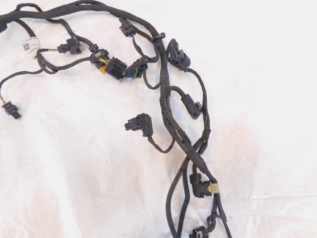 2021 BMW F 900 R F900R Electrical System Engine Motor Sub Wire Harness Cable - C3 Cycle