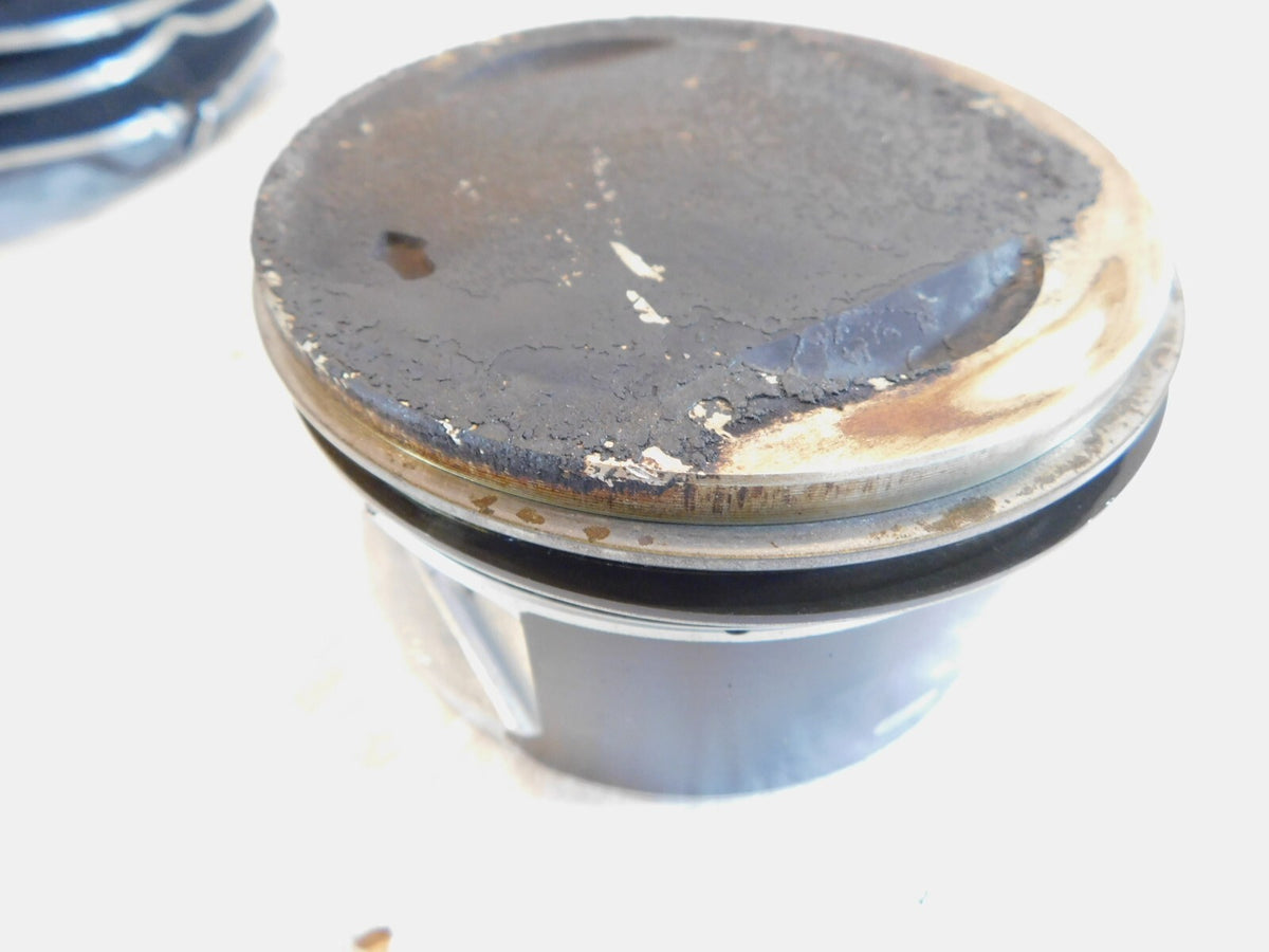 Harley Davidson Touring Dyna & Softail Twin Cam 88 Motor Piston & Black Cylinder - C3 Cycle
