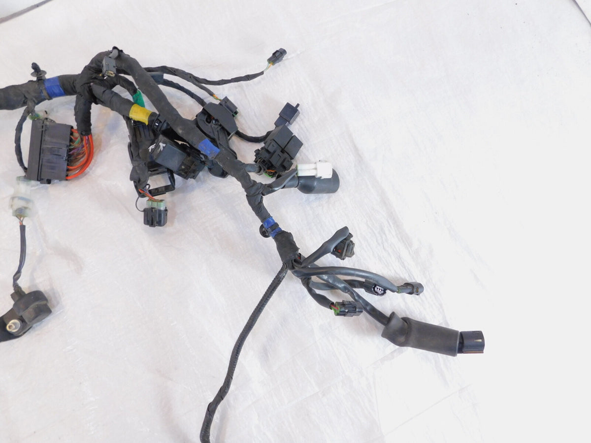 Royal Enfield Continental GT & Interceptor 650 Electrical Wiring Cable Harness - C3 Cycle