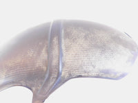 2008-09 BMW G650GS G650 GS Carbon Fiber Rear Wheel Cover Hugger Mud Guard Fender - C3 Cycle
