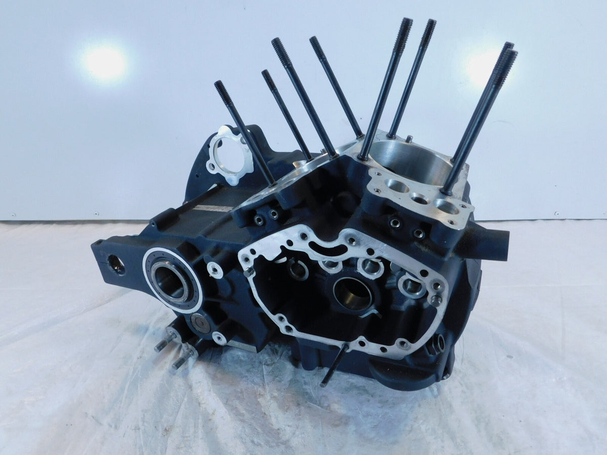 2009-10 Buell XB XB9 XB12 Firebolt Lighting Ulysses Engine Crankcase Crank Cases - C3 Cycle