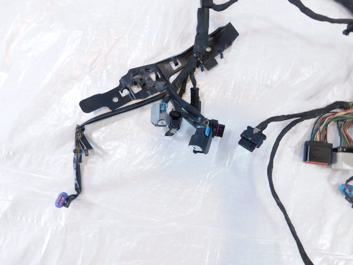 2018-2020 Harley Davidson Softail Low Rider & Fat Boy Main Wire Wiring Harness