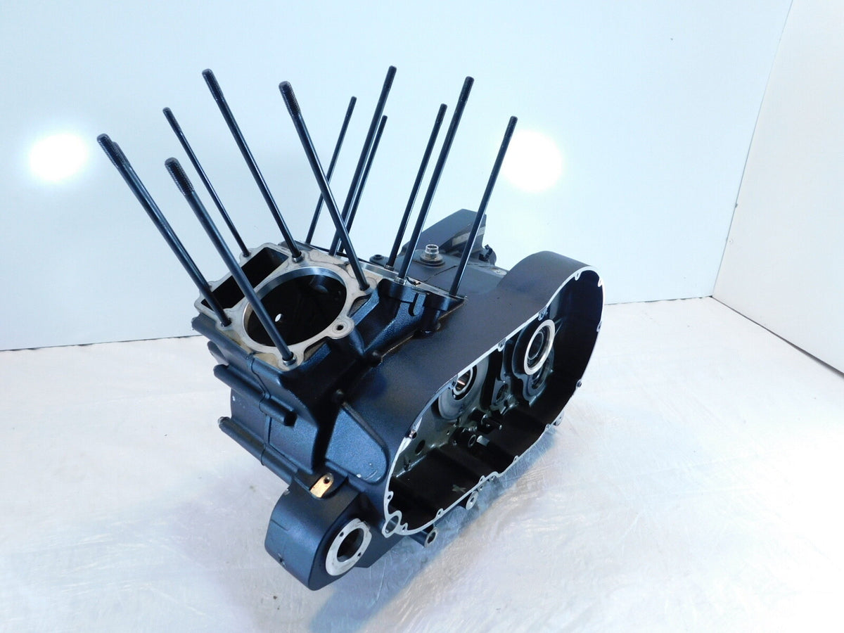 Polaris Victory Jackpot Magnum Vision Vegas Engine Motor Black Crankcase Cases - C3 Cycle