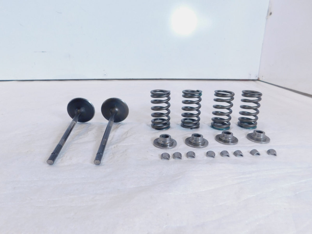 2020-2022 Indian Challenger Limited Dark Horse Intake & Exhaust Valves & Springs - C3 Cycle