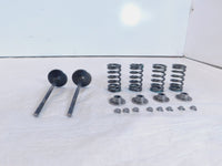 2020-2022 Indian Challenger Limited Dark Horse Intake & Exhaust Valves & Springs - C3 Cycle