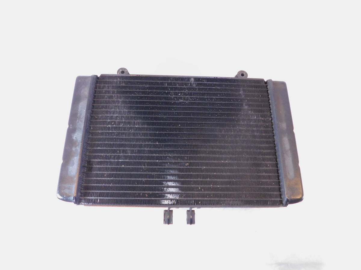 1994-1995 Honda CB1000 CB 1000 Front Engine Motor Water Cooling Coolant Radiator - C3 Cycle