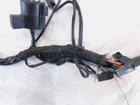 1999-2003 Harley Davidson EVO Sportster 883 1200 Main Wiring Turn Signal Harness - C3 Cycle