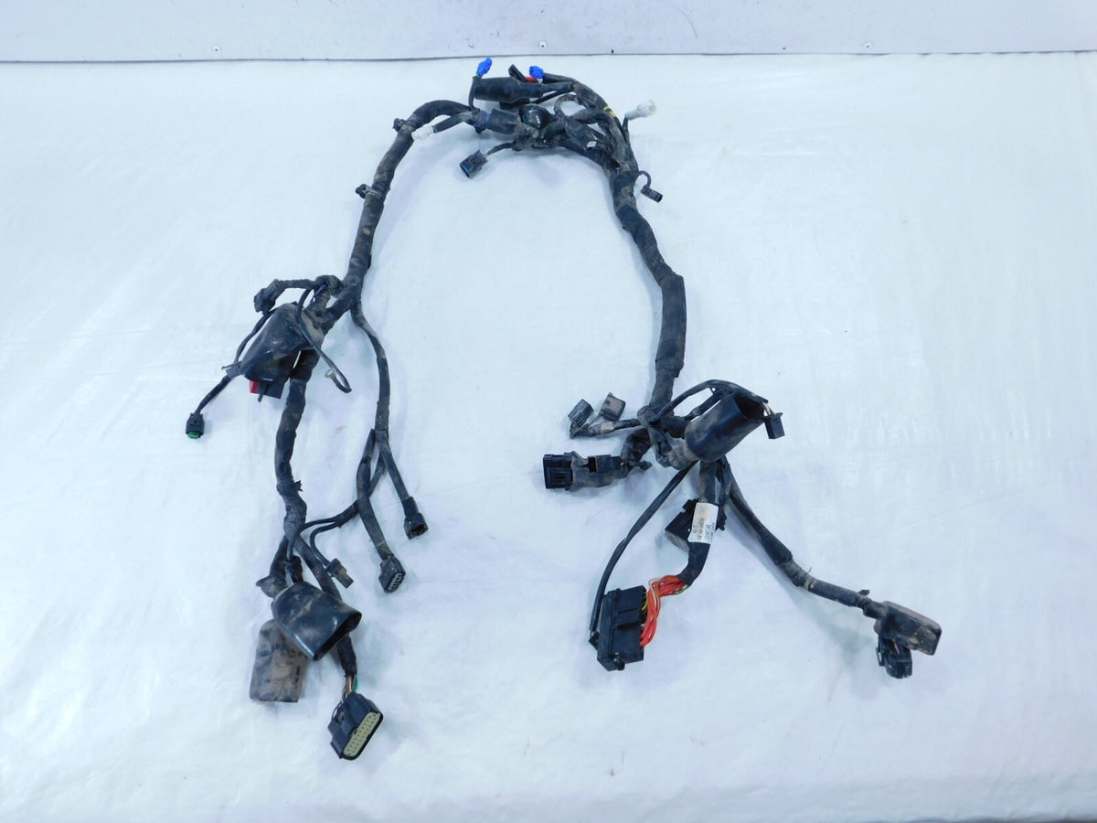 2021 21 Royal Enfield Himalayan 410 LS410 USA Main Wire Harness Wiring Loom - C3 Cycle
