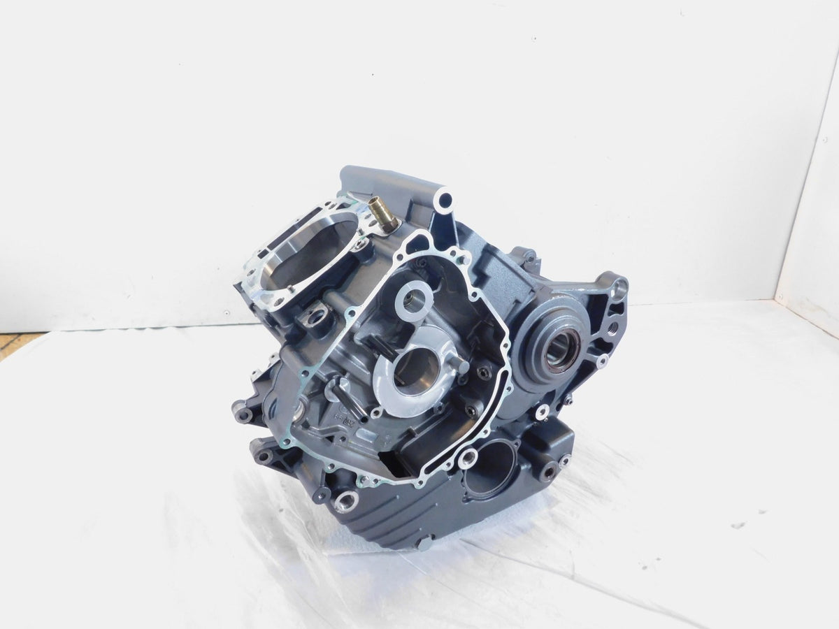 Erik Buell Racing EBR 1190 1190SX 1190RX Hammerhead Engine Crankcase Crank Cases - C3 Cycle