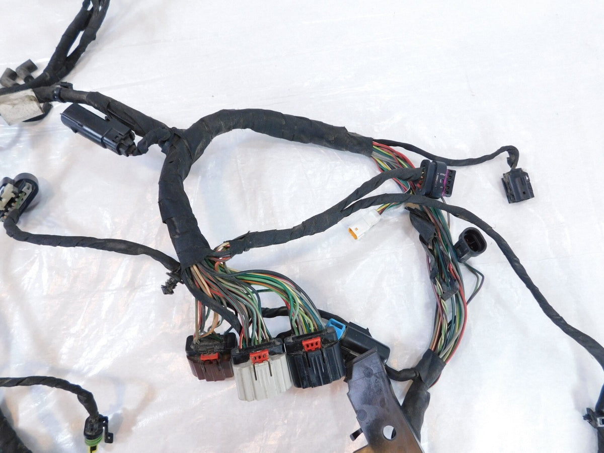 2018-2020 Harley Davidson Softail Low Rider & Fat Boy Main Wire Wiring Harness