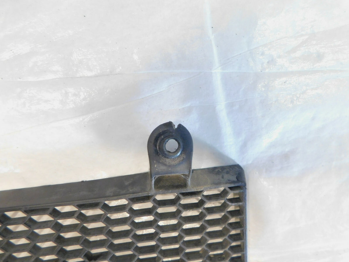 2006-2012 BMW F800GS F800 Engine Cooling Radiator Protector Cover Grill Screen - C3 Cycle
