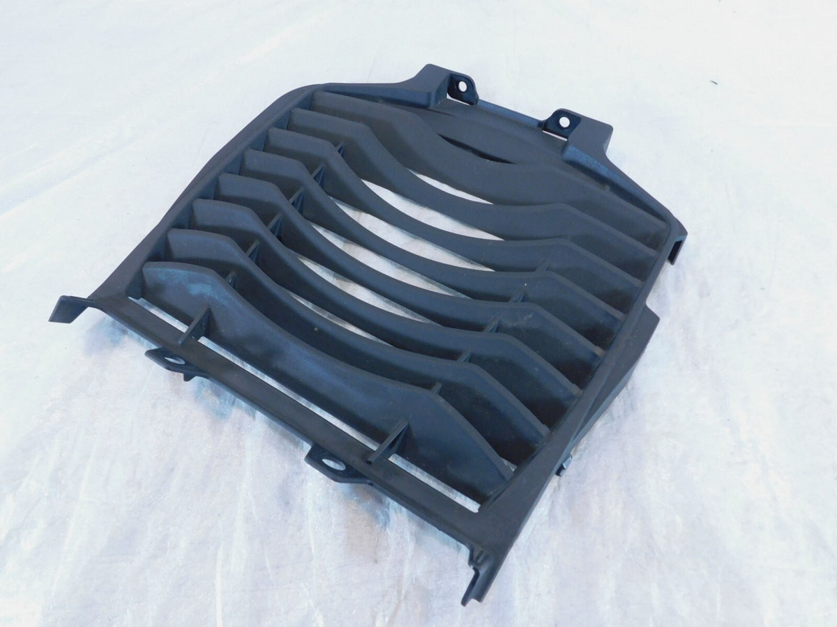 Indian Challenger Pursuit Limited & Dark Horse Front Chin Fairing Radiator Guard - C3 Cycle