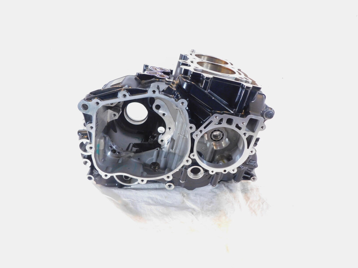 2020-2023 BMW F900R F900XR F900GS F800GS Black Engine Housing Crank Case - C3 Cycle