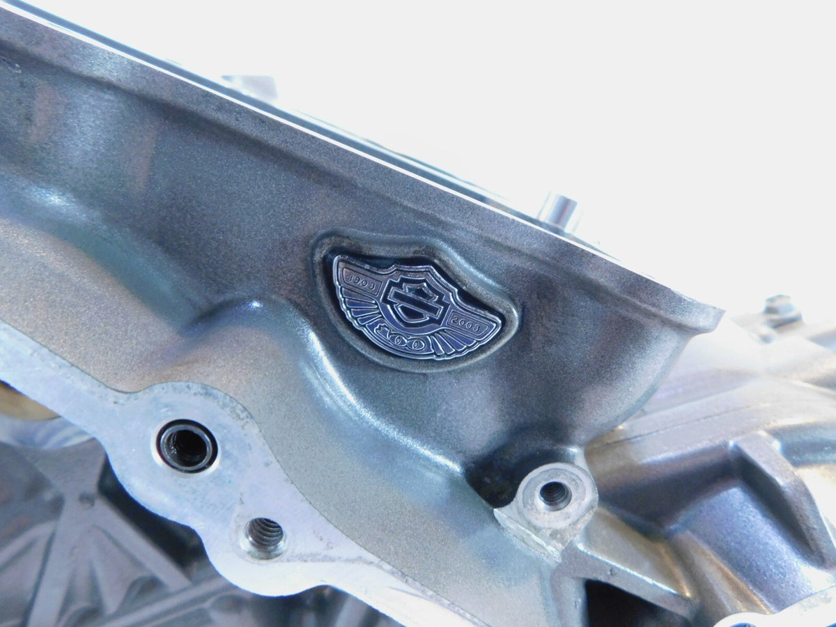 2003 Harley Davidson V-Rod VRod VRSCA Silver 100th Anniversary Crankcase - C3 Cycle