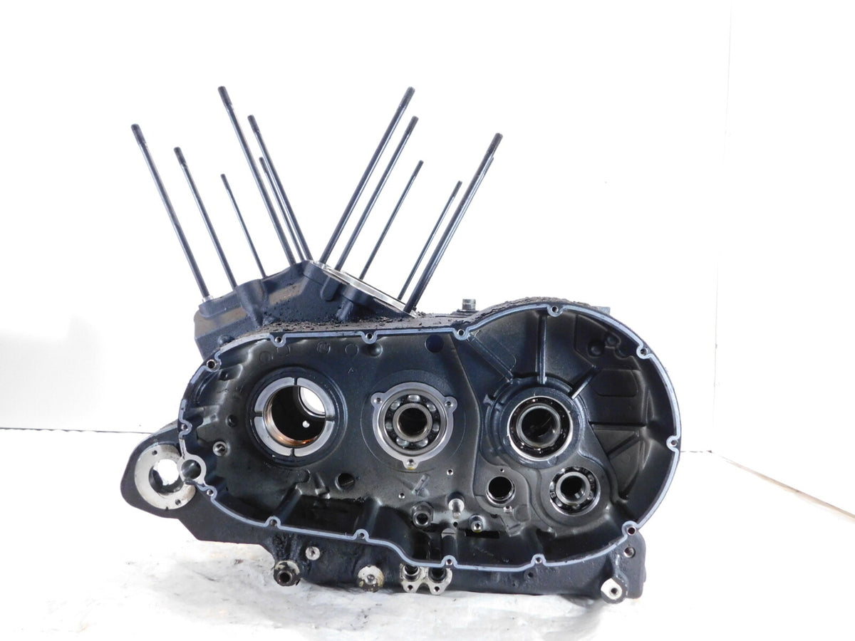 Polaris Victory Cross Country Roads Vision Vegas Engine Motor Black Crankcase - C3 Cycle